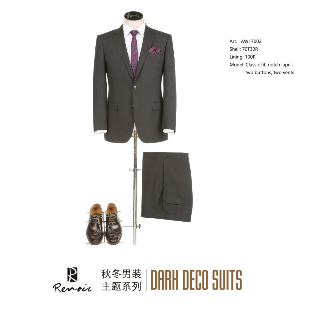 OEM 2 Piece Classic Fit Two Buttons Men′ S Business Suit